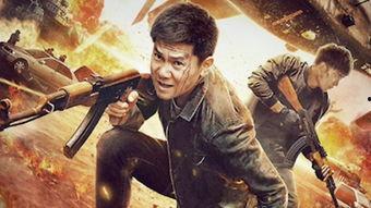 国产战毒电影在线观看,热血激战，揭秘毒品背后的惊心动魄