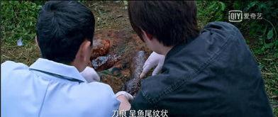 弑母案国产剧在线观看,国产剧在线观看，揭开家庭悲剧的真相