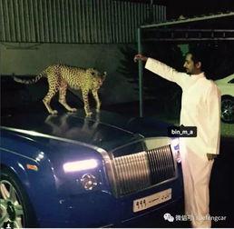 国产富二代特色在线观看